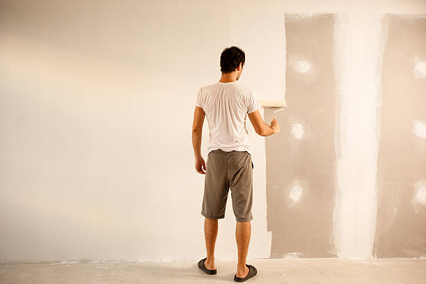 Best Drywall Removal and Disposal  in Audubon, IA