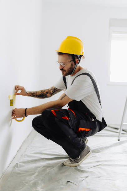 Best Ceiling Drywall Installation  in Audubon, IA